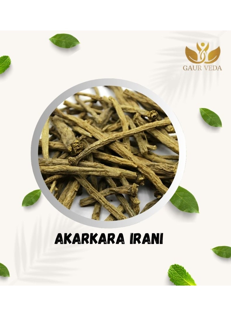 Akarkara Root | Naturally Dried Herbal Root for Traditional & General Use - Image 3